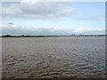 SE8925 : Geese and waders at Whitton Sand, River Humber by Christine Johnstone