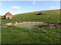 TV5797 : Dew Pond at East Hale Bottom by PAUL FARMER