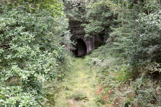 Disused railway and tunnel in the Forest of Dean