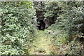 SO6114 : Disused railway and tunnel in the Forest of Dean by Jeff Buck