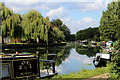 TQ3685 : River Lea Navigation beside Hackney Marsh (2) by Chris Heaton