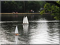 TQ0083 : Black Park Model Boat regatta - yachts by David Hawgood