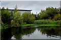 TQ3696 : Canal Junction on the River Lea Navigation by Chris Heaton