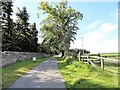 NZ0255 : View south along the entrance drive, Minsteracres by Robert Graham