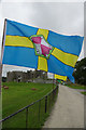 SN0403 : Pembrokeshire Flag by Stephen McKay