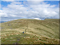 NY2600 : Slope rising to Great Carrs by Trevor Littlewood