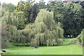 ST0972 : Weeping willow, Dyffryn gardens by M J Roscoe