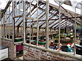 TQ8010 : Alexandra Park Greenhouse by PAUL FARMER