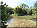 TA0256 : Mill pond at Bell Mills by Stephen Craven