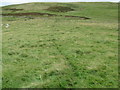 NT8221 : Sheep path heading for gateway on White Law near Yetholm by ian shiell