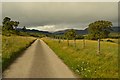 NN7599 : Country Lane near Kingussie, Cairngorms by Andrew Tryon