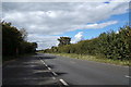 TF7909 : The A47 at Swaffham by Geographer