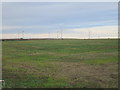 TA3819 : Out Newton Wind Farm seen from Fosse Hill by Jonathan Thacker