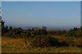 TM4457 : Heathland and a view of the River Alde, Aldeburgh Golf Club by Christopher Hilton