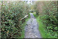 SN2751 : Wales Coast Path on cliffs above Tresaith by M J Roscoe