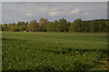 TL5238 : World War II defences along the Cam, north of Audley End by Christopher Hilton