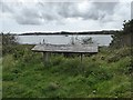 SX4364 : View of River Tamar south of Cleave by David Smith