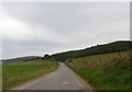 NJ5012 : Approaching Loanhead Plantation from the west by Stanley Howe