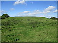 SE4266 : Floodbank  at  Swale  Nab by Martin Dawes