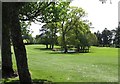 J0710 : Watery hazard on the Ballymascanlon Golf Course by Eric Jones