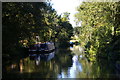 TL4712 : River Stort below Harlow Mill lock by Christopher Hilton