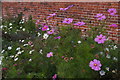 TL5238 : Walled garden, Audley End by Christopher Hilton