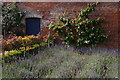 TL5238 : Herbs in the kitchen garden, Audley End by Christopher Hilton