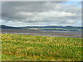 C6329 : Mud Flats and Seabirds, Lough Foyle by David Dixon