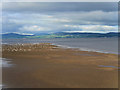  : Roe Estuary, Lough Foyle by David Dixon