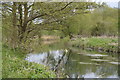 TL8087 : River Little Ouse by N Chadwick