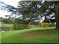 TQ4551 : Grounds of Chartwell House by Paul Gillett