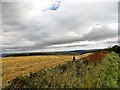 NZ0455 : Stubble field by Robert Graham