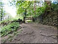 SJ9687 : Footpath to Mellor and Cobden Edge by Gerald England