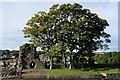 NZ0416 : Barnard Castle: Trees growing on the site of the kitchen range by Bob Harvey