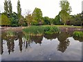 SJ9090 : Ornamental pond in Vernon Park by Gerald England