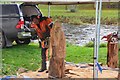 NT2540 : Chainsaw sculpture, Tweed Green Peebles by Jim Barton