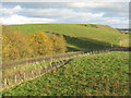 NS9754 : Track of old railway at Haywood by M J Richardson