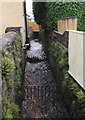 SS9991 : Brook below Brook Street, Williamstown by Jaggery