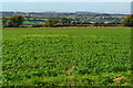 SU5929 : View over Cheriton Battlefield by David Martin