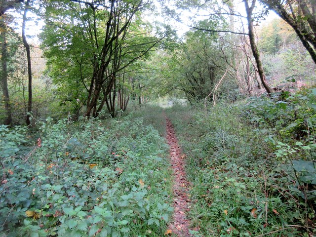 Selhurst Park Wood