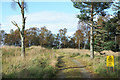 NJ0123 : Forest road with warning notice by Trevor Littlewood