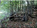 TQ7819 : Remains of farm cart by Hurst Lane, Sedlescombe by Patrick Roper