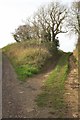 SY4991 : Fork in the track, Burbitt Lane by Derek Harper