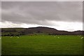 SJ1665 : View towards Moel Famau by Jeff Buck