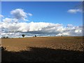 TL9856 : Ploughed field in Buxhall by Chris Holifield