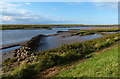 TF8444 : Overy Creek and Marsh on the Norfolk coast by Mat Fascione