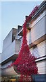 J3372 : Poppies: Weeping Window, Belfast by Rossographer