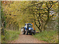 SJ6467 : Flailing in progress on the Whitegate Way by Stephen Craven