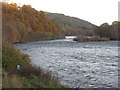 NO0242 : Evening light in Strath Tay by M J Richardson