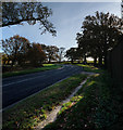 TF0422 : Light and Shade at Grimsthorpe garden corner by Bob Harvey